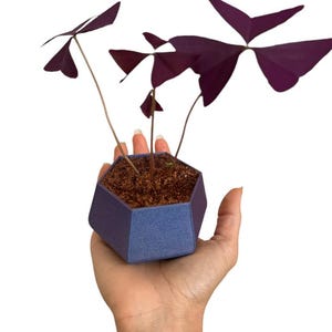 Jardinera geométrica azul oscuro brillante de 3" con orificios de drenaje