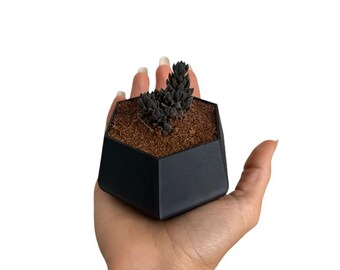 Black 3" Geometric Planter with Drainage Holes
