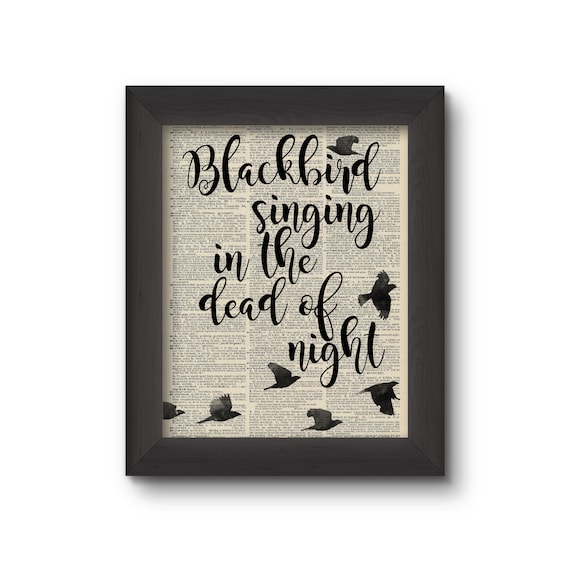 Blackbird Singing In The Dead Of Night