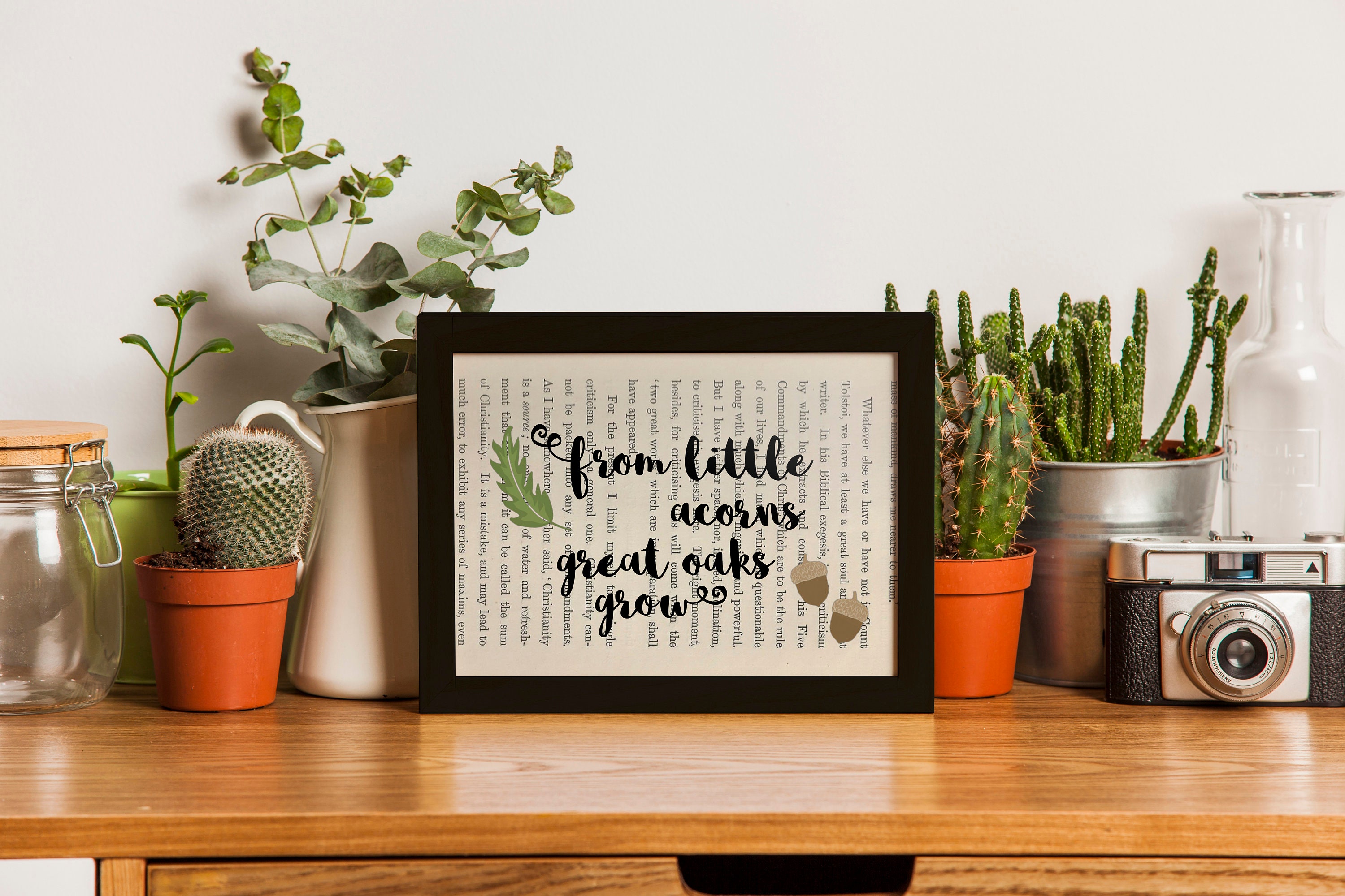 little acorns furniture