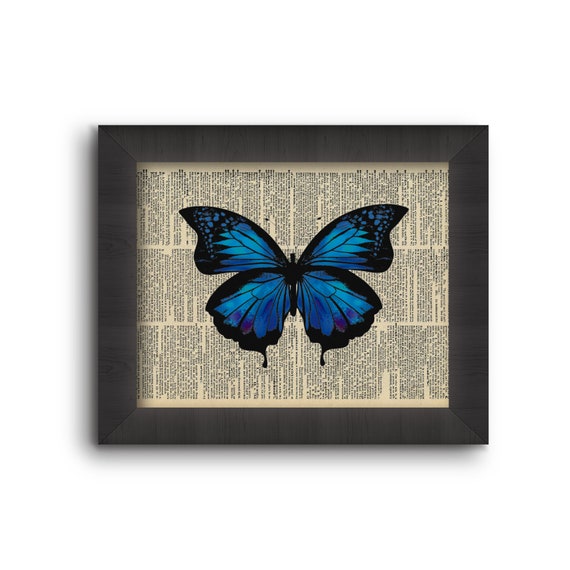 Blue Indigo Butterfly