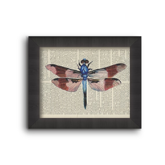 Dragonfly