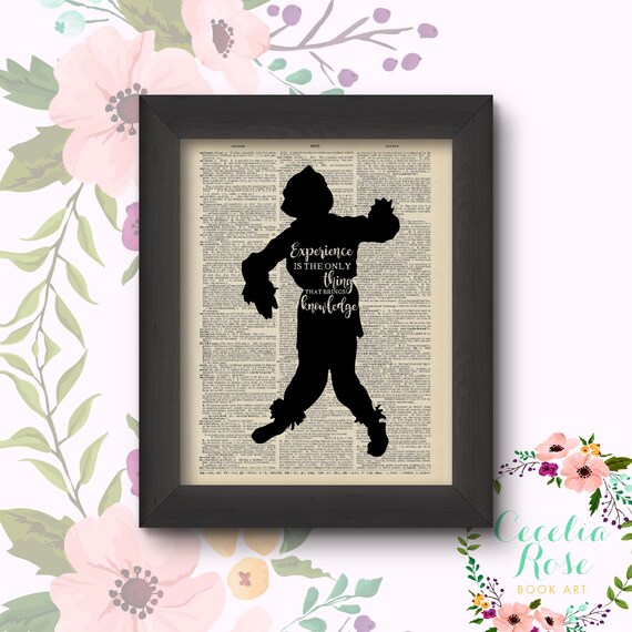 Experience Is The Only Thing That Brings Knowledge - Scarecrow - Wizard of Oz