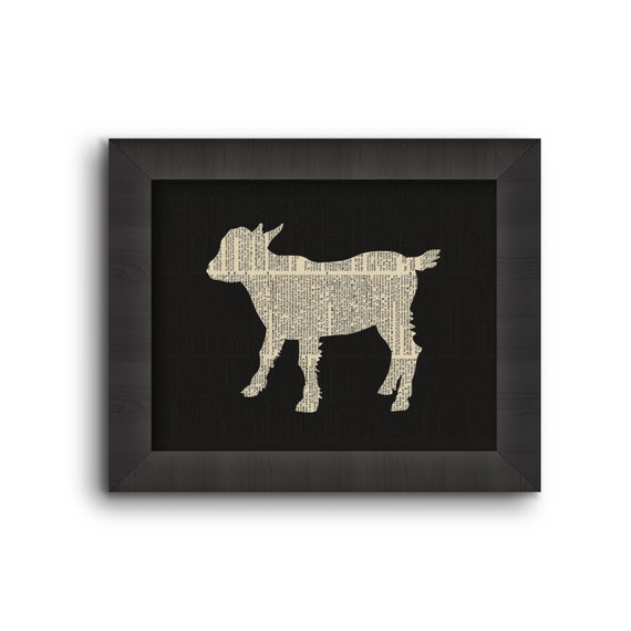 Baby Goat
