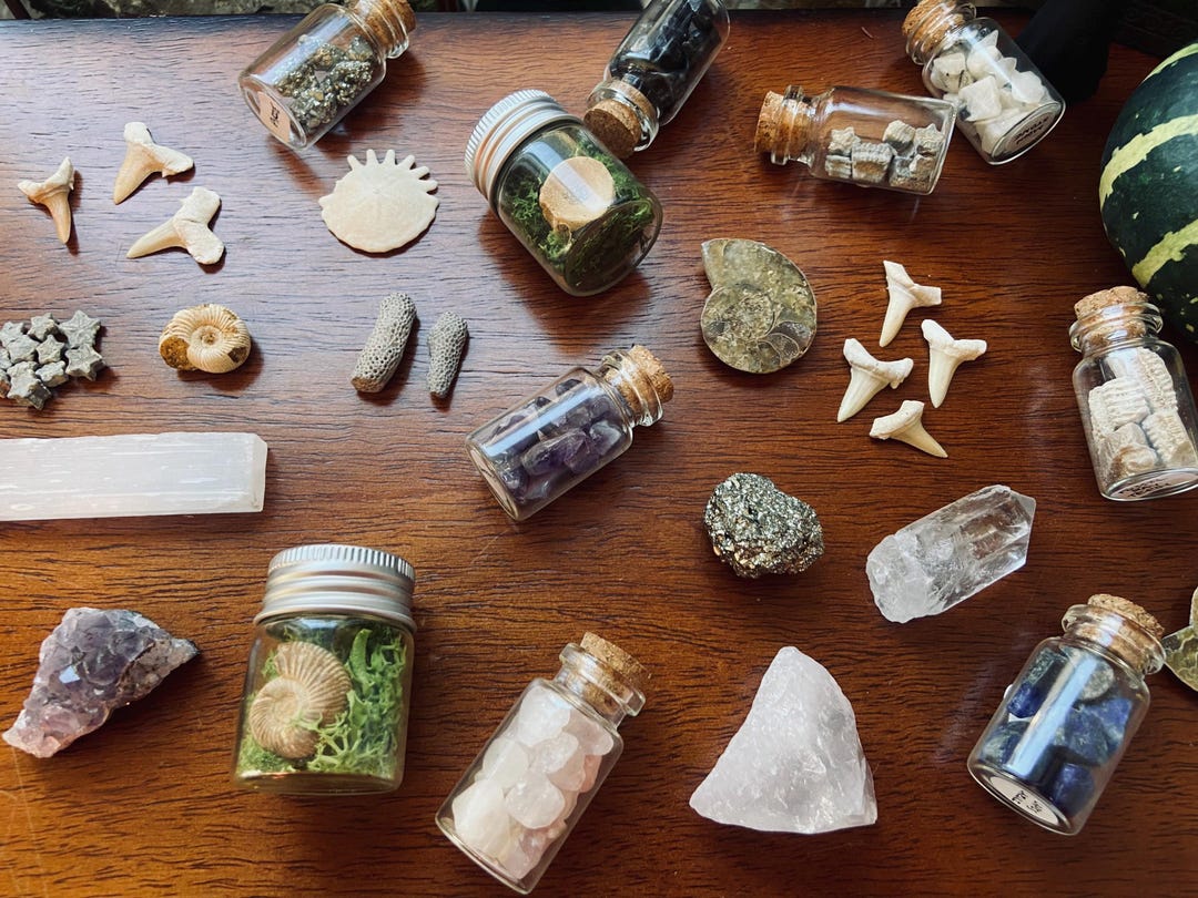 Geology Mystery Box – Rocks, Fossils, Crystals Collection - Etsy