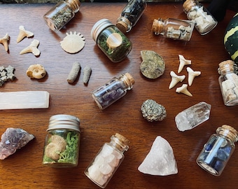 Geology Mystery Box – Rocks, Fossils, Crystals Collection