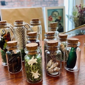 May include: A collection of small glass bottles with cork tops, each filled with different natural elements, such as moss, seashells, and insects. The bottles are arranged on a wooden surface.