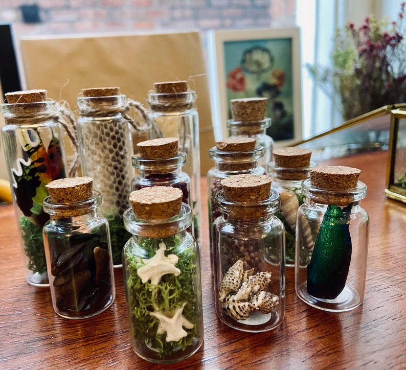 May include: A collection of small glass bottles with cork tops, each filled with different natural elements, such as moss, seashells, and insects. The bottles are arranged on a wooden surface.