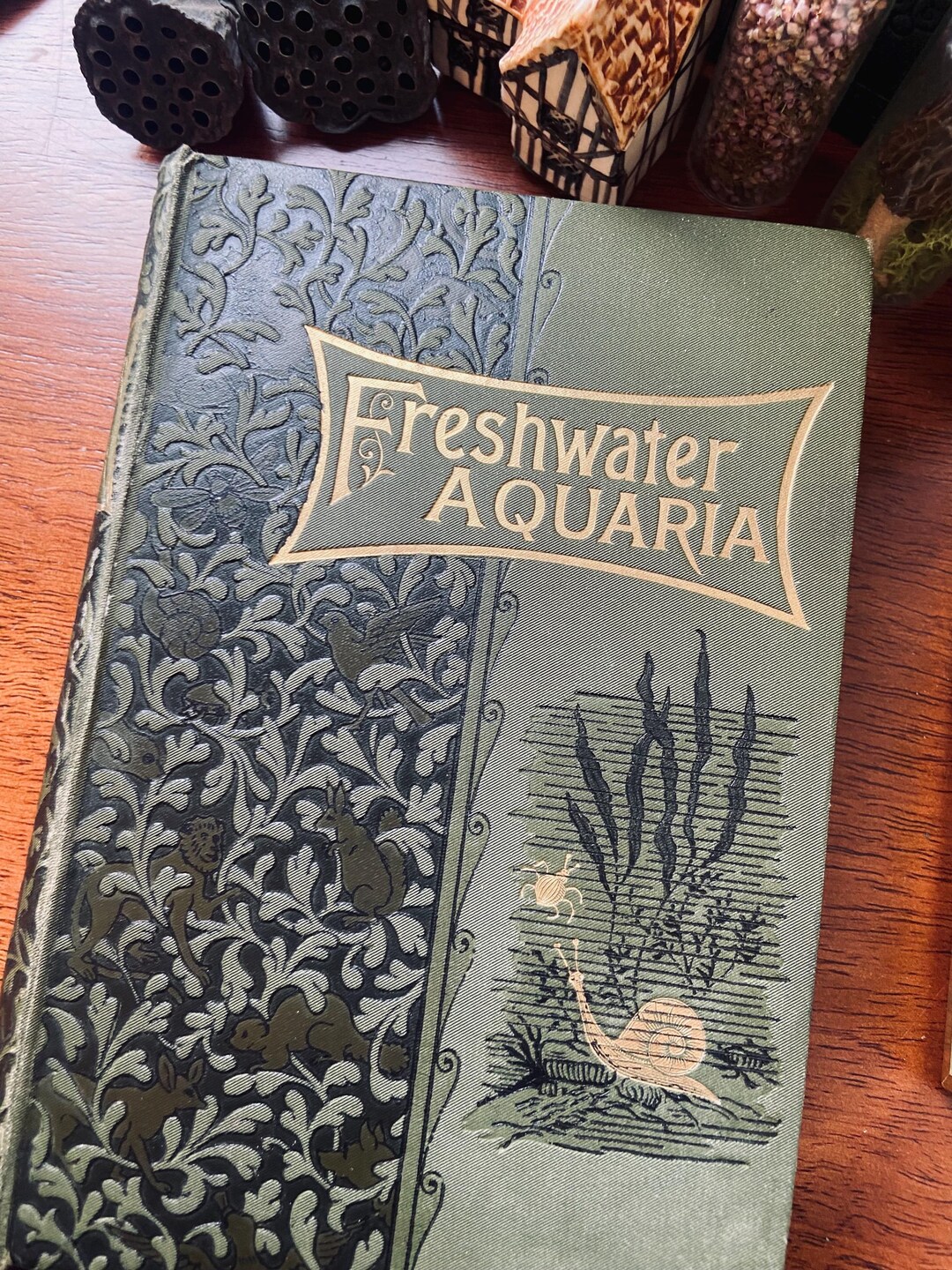freshwater-aquaria-a-victorian-book-on-home-aquariums-1904-with-a