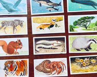 Vintage Naturgeschichte Teekarten - Sammler Ephemera für Scrapbooking
