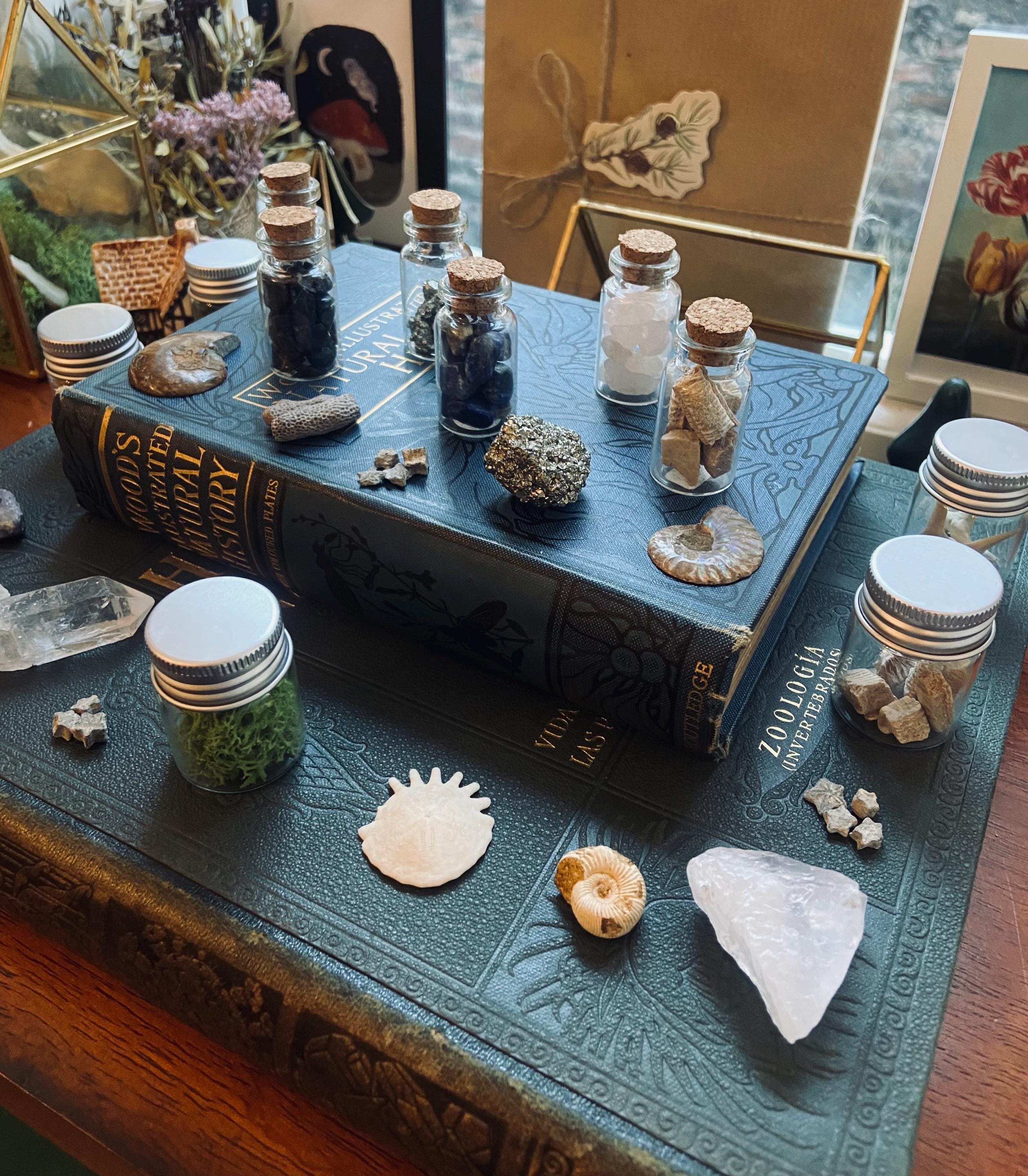 Geology Mystery Box – Rocks, Fossils, Crystals Collection - Etsy