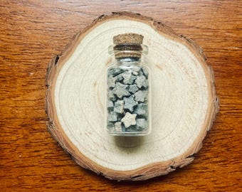 Fossil Crinoid Stars in a Glass Jar – Ancient Marine Invertebrate Fossils, Natural History Curiosity