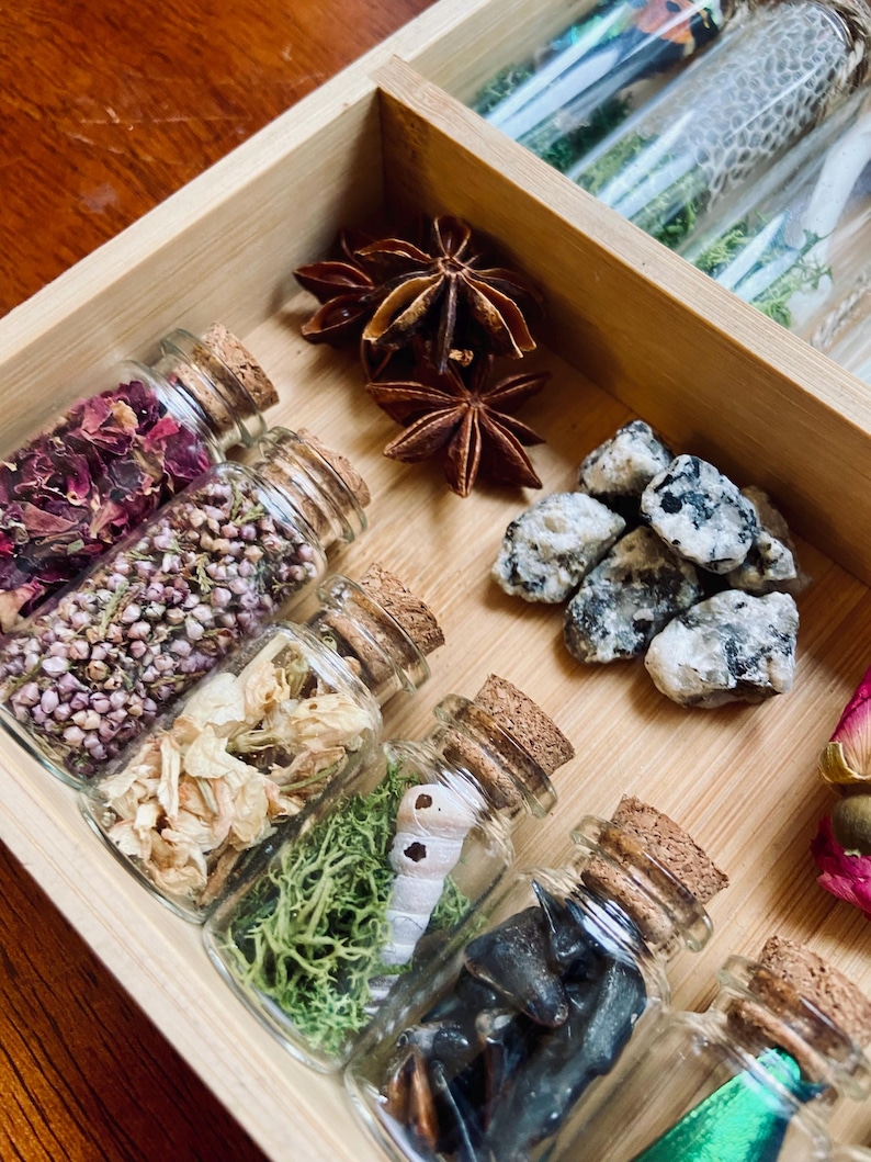 May include: A wooden box with small glass bottles filled with various items, including dried flowers, moss, a caterpillar, and a beetle. The box also contains star anise, small rocks, and dried rose petals.
