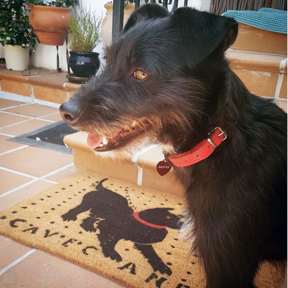 Free Shipping Cave Canem Roman Mosaic Doormat Latin Beware Of The Dog Welcome Funny Door Mat Art History Nerd Pompeii Gift New House Gift