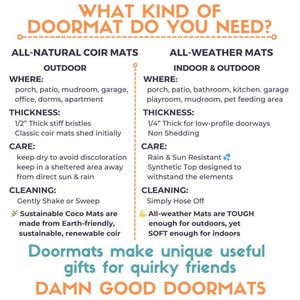 The image is a visual guide that asks "What kind of doormat do you need?" and provides information about different types of doormats, including their uses and maintenance requirements.