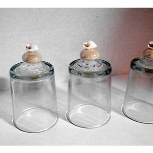 May include: Three clear glass jars with lids featuring a seashell design. The lids are a light brown color with a white seashell on top.