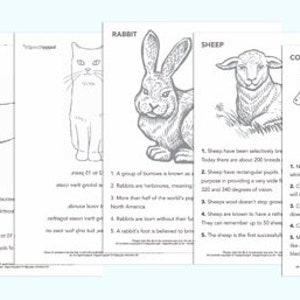 Brown Rabbit mask template DIY no sew mask pattern. Instantly make a paper Rabbit mask. Downloadable PDF printable templates by Happythought image 6