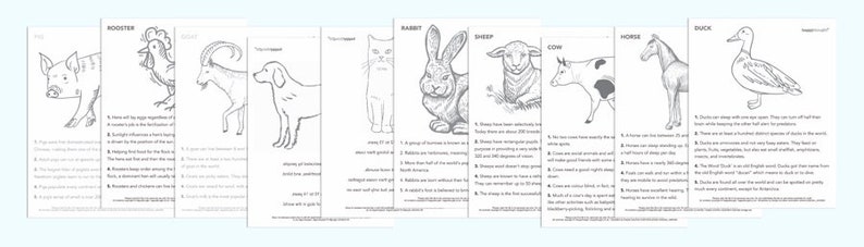 Brown Rabbit mask template DIY no sew mask pattern. Instantly make a paper Rabbit mask. Downloadable PDF printable templates by Happythought image 6