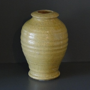 May include: A handmade, light green ceramic vase with a rounded body and a narrow neck. The vase has horizontal ridges around the body and a small, circular base. The vase is approximately 20 cm tall.
