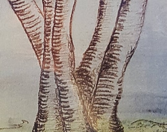 PRINTS of The Birch Trees III