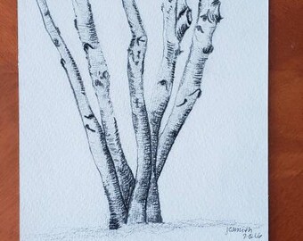 The Birch Trees I