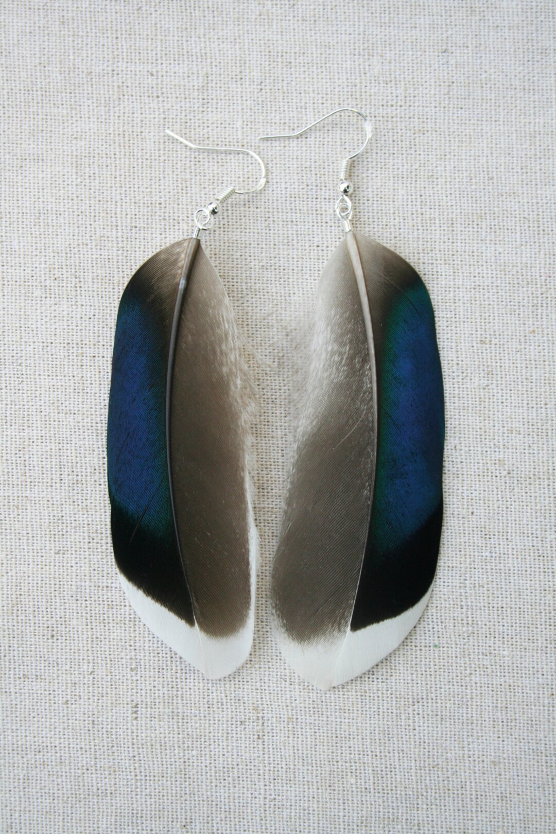 Mallard Feather Earrings