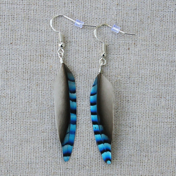 Boucles d'oreilles geai plumes bleues - Bijoux plumes de geai bleu eurasien