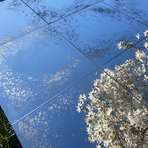 May include: A close-up of a mirrored surface made of square tiles. The mirror reflects a bright blue sky and a tree with white blossoms. The mirror has a distressed, speckled appearance.