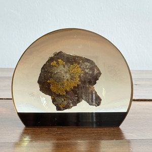 May include: A semi-circular clear resin paperweight containing a dark brown rock fragment with patches of bright yellow lichen and a small embedded shell. The base of the object features a solid black horizontal band across the bottom edge.
