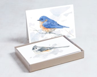 Bird Watercolor Card Set Mixed Bird Art Stationery Gift Bluebird Tufted Titmouse Barn Swallow Warbler Nuthatch Birder Gifts Mothers Day Gift