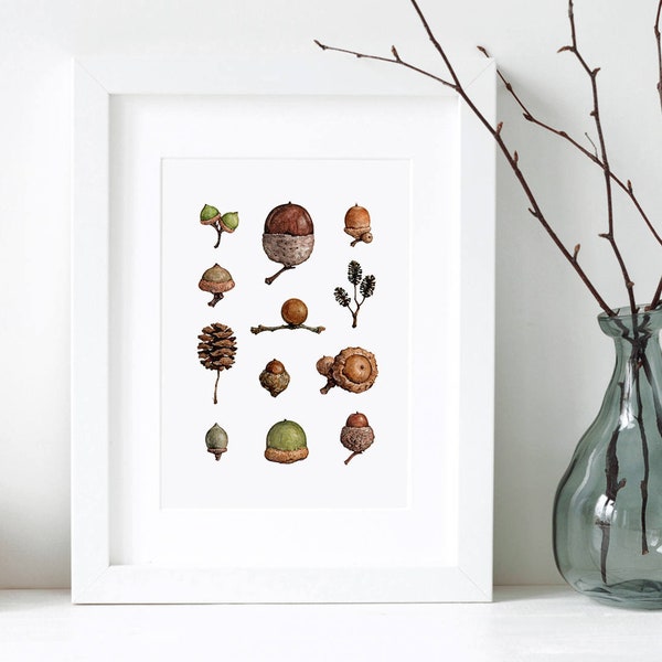 Acorns Art Print Woodland Nature Watercolor Wall Decor