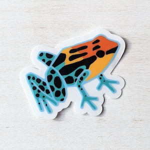 Poison Frog Sticker Clear Vinyl Colorful Animal Sticker