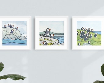 Puffins Illustration Print Set Three 5x5 Prints