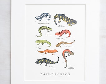 Salamanders Chart Print Animal Wall Art Kids Room Wall Decor