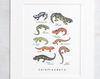 Salamanders Chart Print Animal Wall Art Kids Room Wall Decor