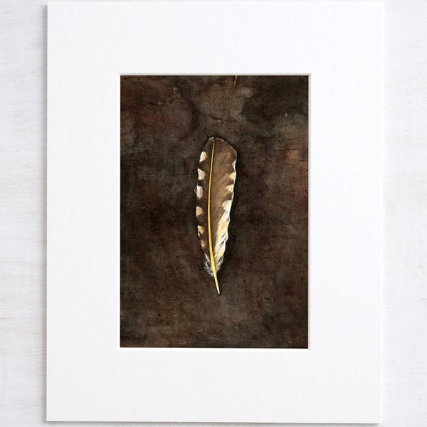 Northern Flicker Feather Watercolor Art Print
