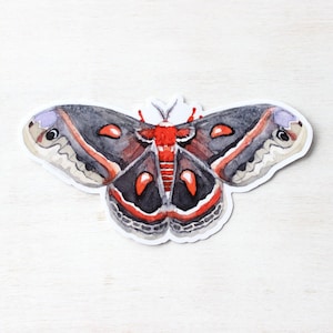 Moth Sticker Cecropia Moth Insect Sticker Waterproof Vinyl Art Sticker Decal