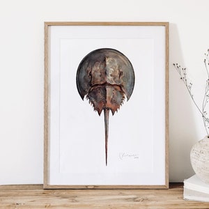 Horseshoe Crab Watercolor Painting Seashore Beach Print