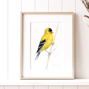 Goldfinch Watercolor Print Bird Painting Bird Watchers Gift