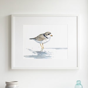 Piping Plover aquarel print strandloper strand schilderij Birdwatcher cadeau afbeelding 3