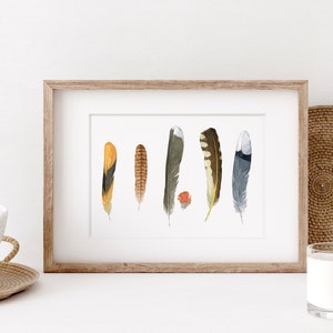 Backyard Bird Feathers Watercolor Print Feather Art Decor
