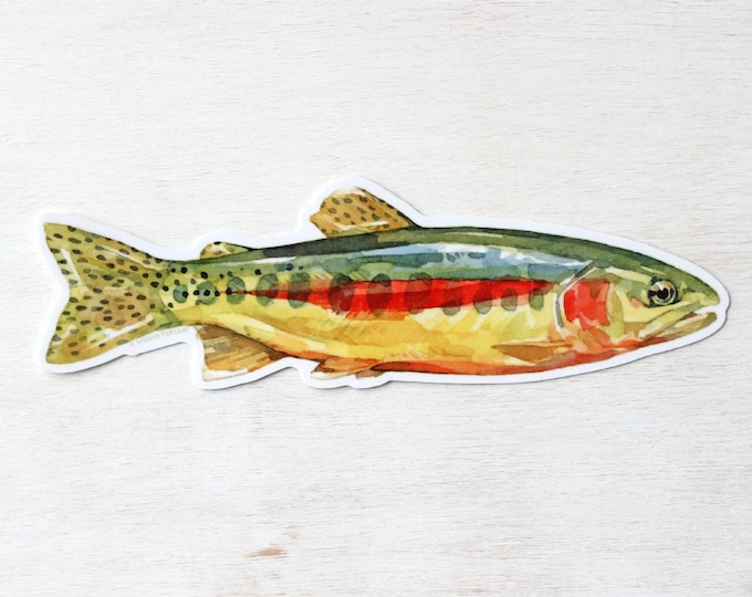 Golden Trout Sticker: Waterproof Vinyl Flyfishing Decal