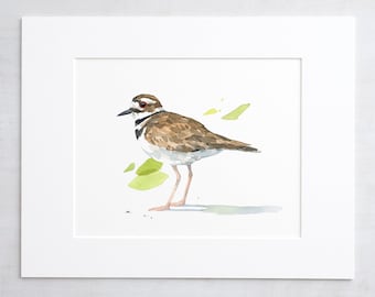 Killdeer Watercolor 8x10 Print Bird Painting Nature Decor Audubon Print