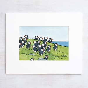 Papageitaucherkolonie Illustration Druck Puffin Rock Island