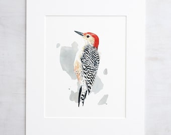 Red-bellied Woodpecker Print Watercolor Bird Painting Bird Wall Art