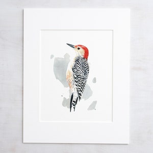 Red-bellied Woodpecker Print Watercolor Bird Painting Bird Wall Art