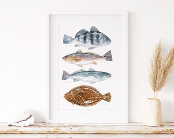 Ocean Fish Art Print Saltwater Inshore Fish Watercolor Red Drum Black Drum Flounder Speckled Trout