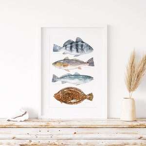 Ocean Fish Art Print Agua salada Peces costeros Acuarela Tambor rojo Tambor negro Platija Trucha moteada imagen 1