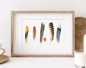 Backyard Bird Feathers Watercolor Print Feather Art Decor