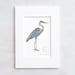 see more listings in the Watercolors: Birds section